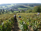 083-BHP Vendanges