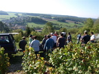 088-BHP Vendanges