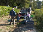 01-BHP Vendanges 2009