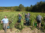 09-BHP Vendanges 2009