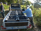 10-BHP Vendanges 2009