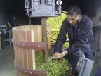 35-BHP Vendanges 2016