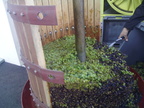 38-BHP Vendanges 2016