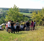 86 Vendanges-2018