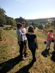 90 Vendanges-2018