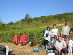 24 Belon Vendange 2003