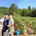 91 Belon Vendange 2003
