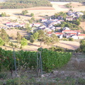 2 Belon Vendange 2003
