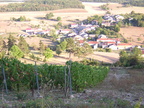 2 Belon Vendange 2003