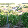 4 Belon Vendange 2003