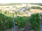 4 Belon Vendange 2003