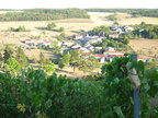 5 Belon Vendange 2003