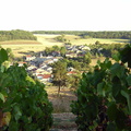 10 Belon Vendange 2003
