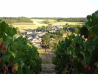 10 Belon Vendange 2003