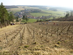 027-BHP Taille-2011